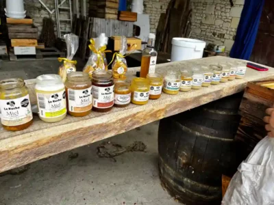 Activités contes de la terre