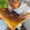 Activités contes de la terre