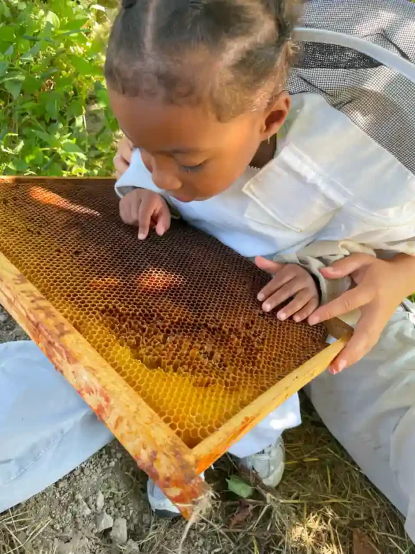 Activités contes de la terre