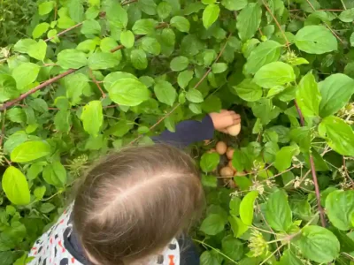 Activités contes de la terre