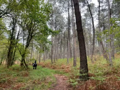 Activités contes de la terre