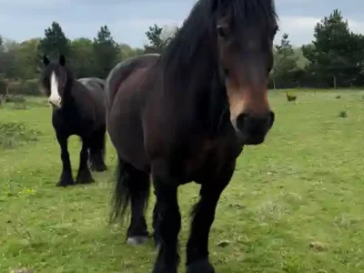 Activites_contes_de_la_terre_042