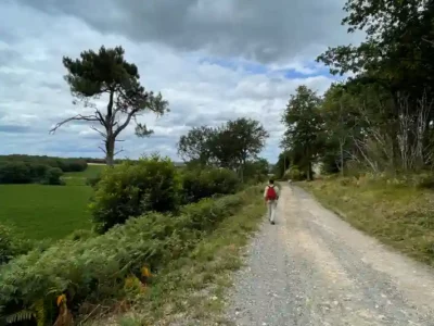 Activités contes de la terre