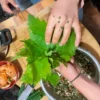 Activités contes de la terre