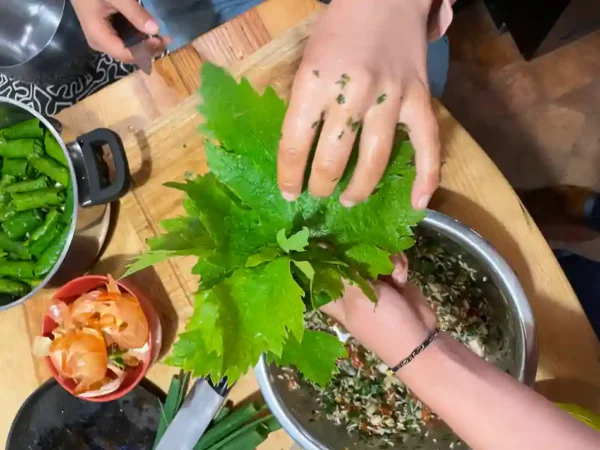 Activités contes de la terre