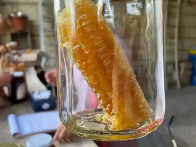 Activites contes de la terre