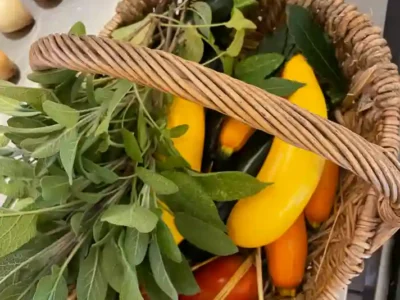 Activites contes de la terre