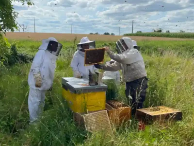Activites contes de la terre