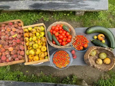 Activites contes de la terre