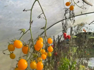 Activites contes de la terre