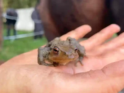 Activites contes de la terre