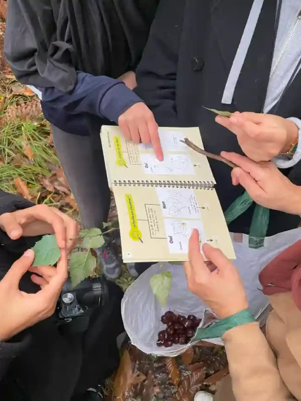 Activites contes de la terre