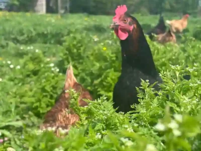 Lieu Contes de la terre