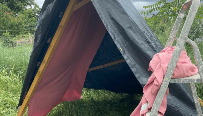 wwoofing contes de la terre