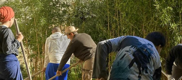 wwoofing contes de la terre