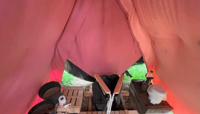 wwoofing contes de la terre