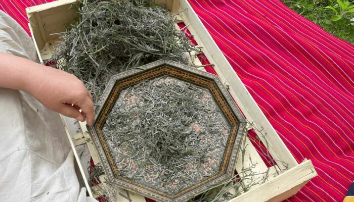 wwoofing contes de la terre