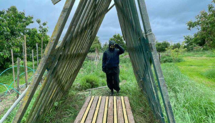 wwoofing contes de la terre