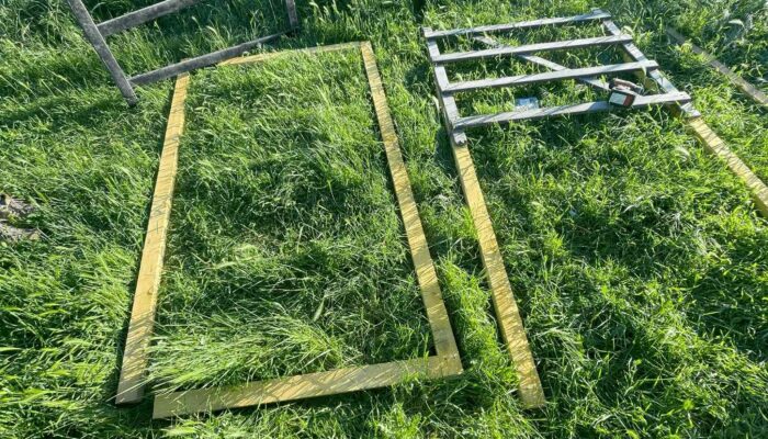 wwoofing contes de la terre