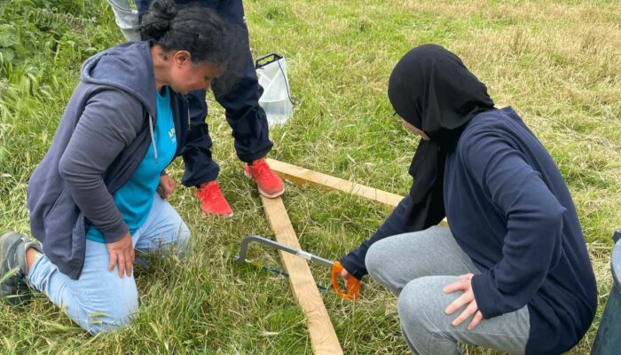 wwoofing contes de la terre