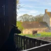 animaux contes de la terre