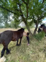 Randonnee en foret contes de la terre 02