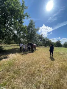 Randonnee en foret contes de la terre 07