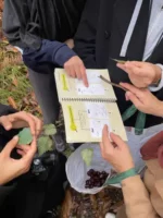 Randonnee en foret contes de la terre 08