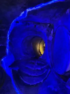 Visite sites troglodytiques contes de la terre 5