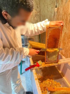 apiculture contes de la terre 03