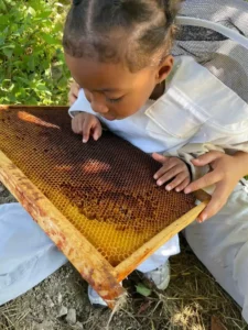 apiculture contes de la terre 04