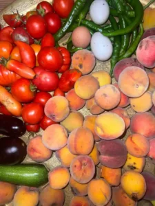 permaculture contes de la terre 01