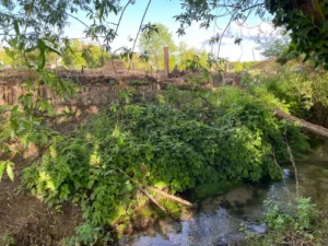 permaculture contes de la terre 04