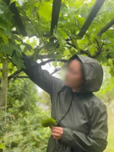 permaculture contes de la terre 06