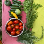 permaculture contes de la terre 09