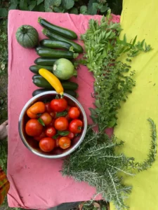 permaculture contes de la terre 09