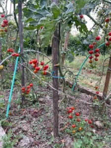 permaculture contes de la terre 10