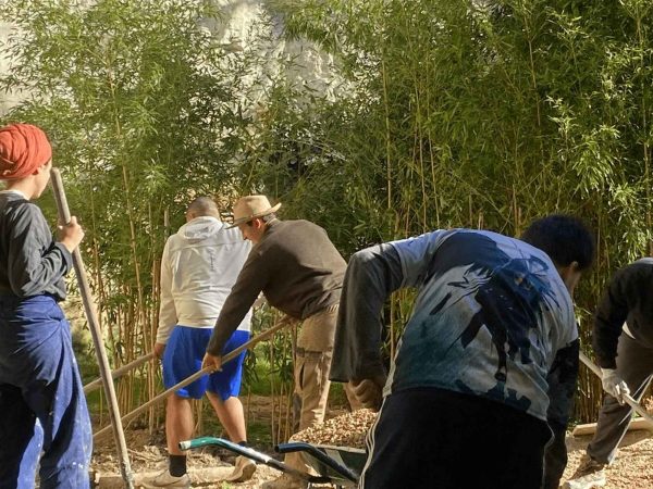 wwoofing contes de la terre