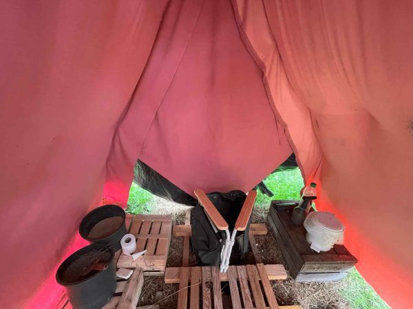 wwoofing contes de la terre