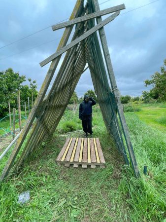wwoofing contes de la terre