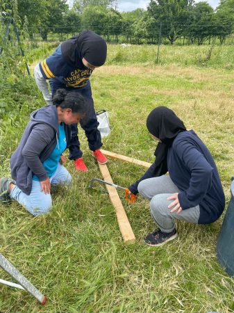 wwoofing contes de la terre